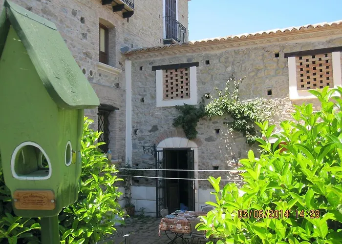 La Gatta sul Tetto