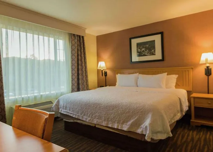 Hampton Inn & Suites Steamboat Springs