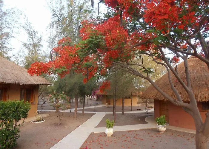 Le Baobab De Nianing