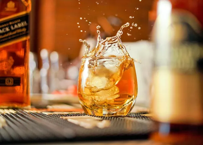 Mayur Hotel Bar And Restaurant