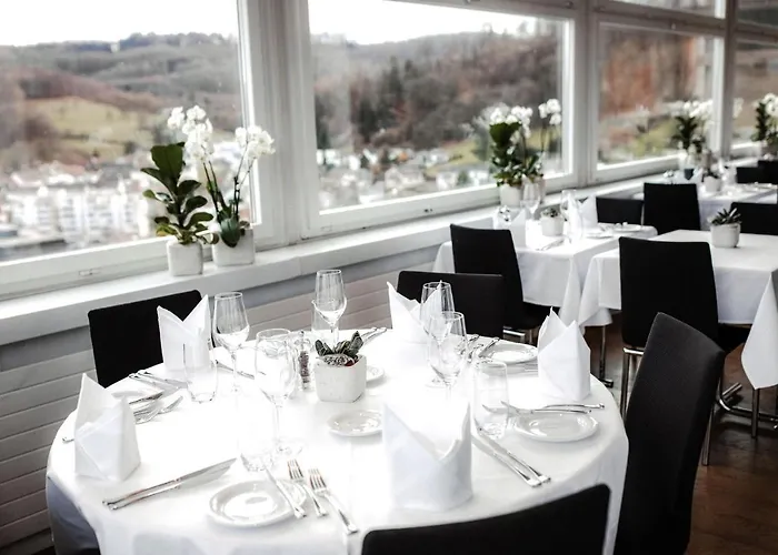 Wellness Hotel Tenedo - Thermalquellen Resort Bad Zurzach