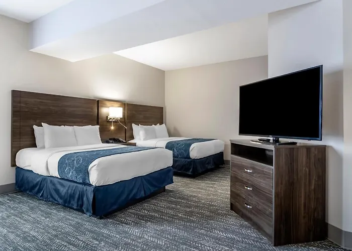 Comfort Suites Mcdonough Atlanta South