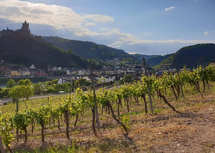 Weingut Haxel